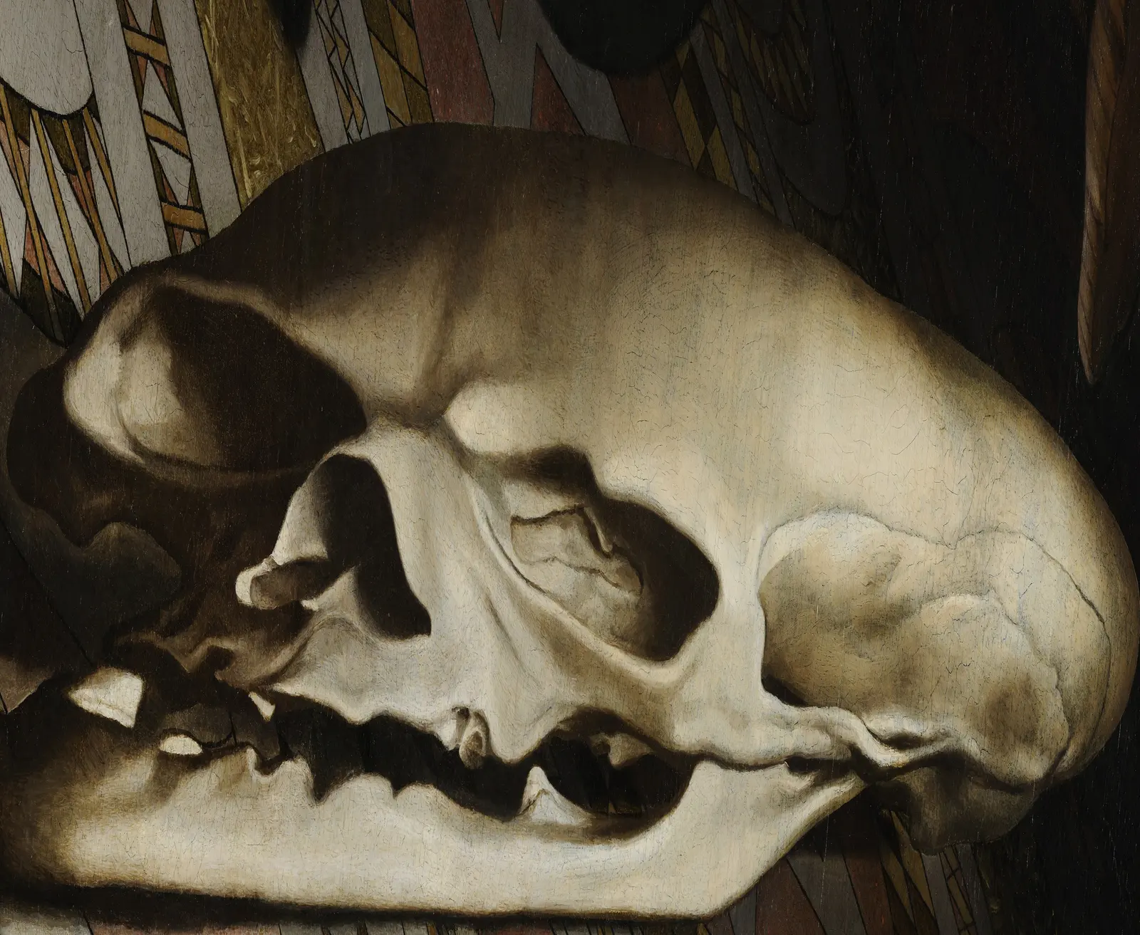 The pale shape turned level and squeezed about 5.3 times along its length becomes a skull seen from the side, with eye socket, nose opening and upper teeth.
